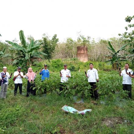 MONITORING HASIL KETAHANAN PANGAN HOLTIKULTURA OLEH TENAGA AHLI DAN PENDAMPING KECAMATAN